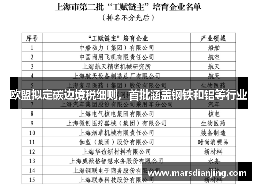 欧盟拟定碳边境税细则，首批涵盖钢铁和铝等行业
