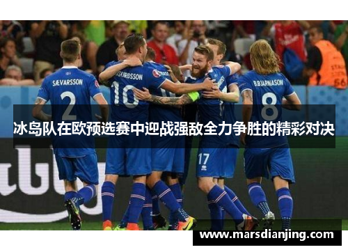 冰岛队在欧预选赛中迎战强敌全力争胜的精彩对决